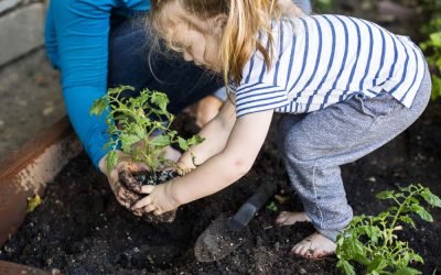 Do you need some ideas for keeping little ones active, engaged and having fun?