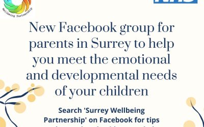Surrey Wellbeing Partnership