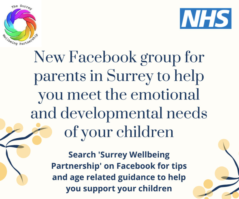Surrey Wellbeing Partnership